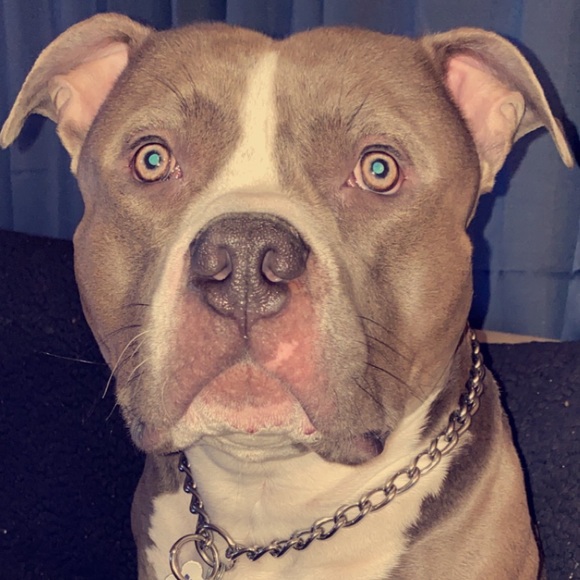 Meet your Posher, Matthew - Picture 1 of 1